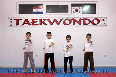 taekwondo kwon training